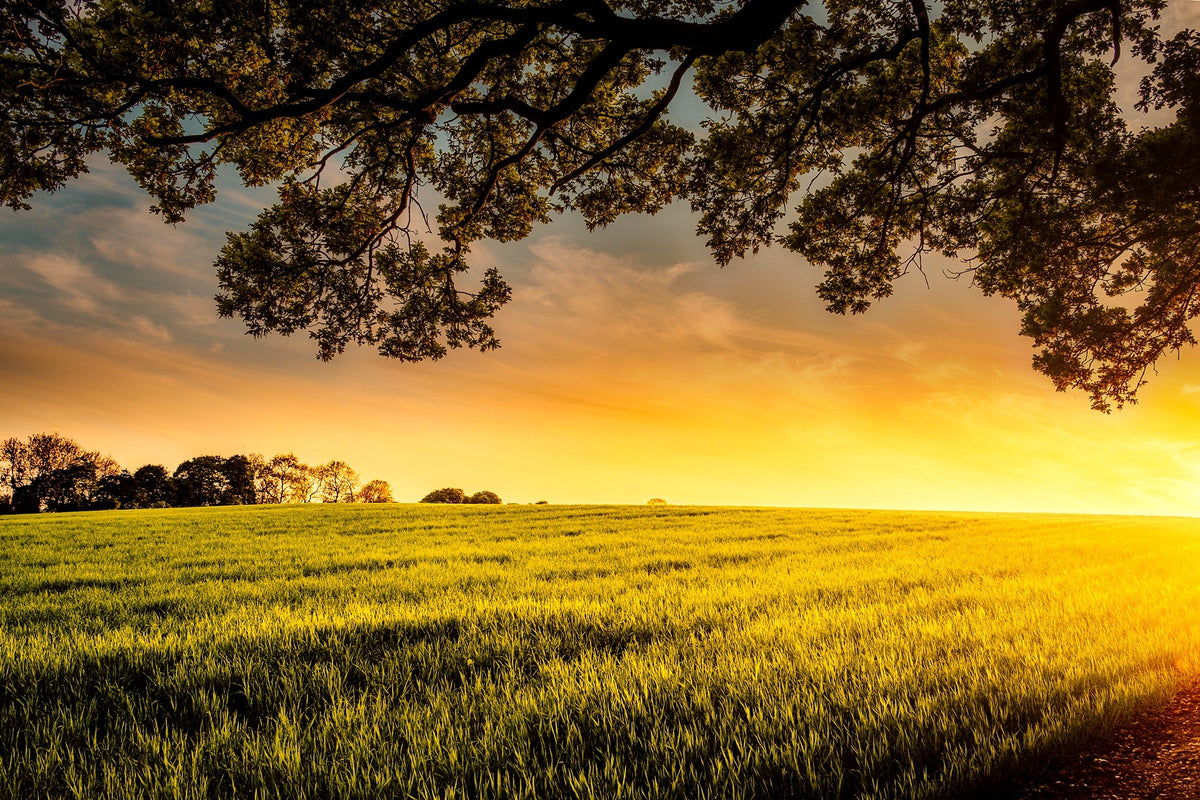 Other Wines of the World – England!