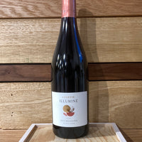 Genetie Illuminé Pinot Noir, AOP Bourgogne